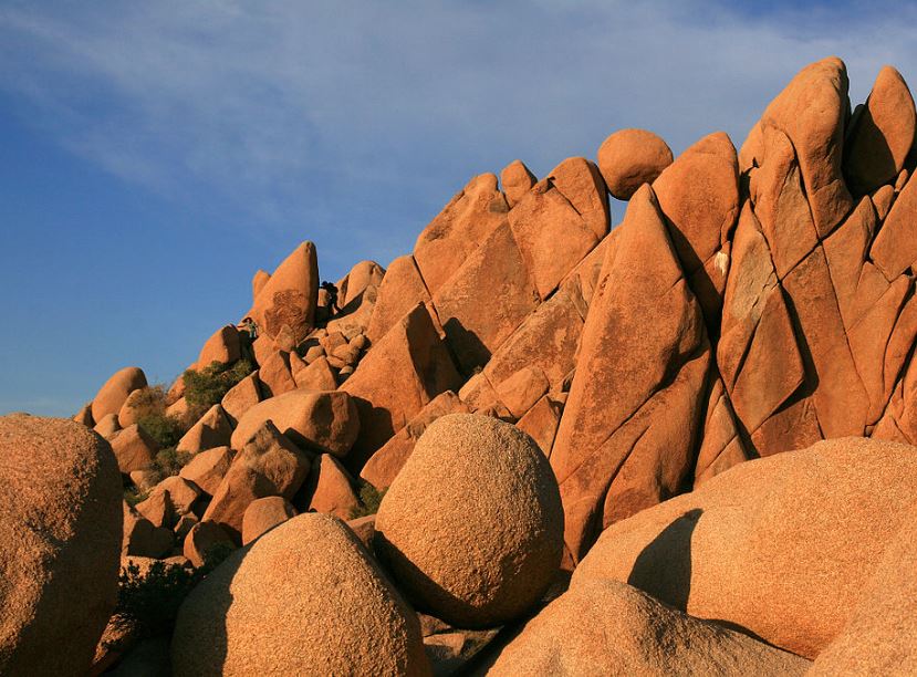 Joshua Tree